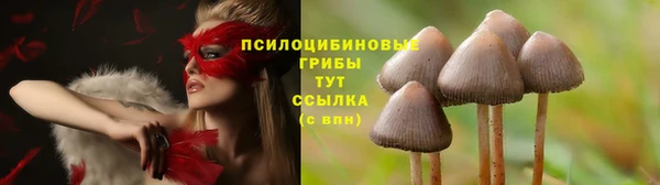 а пвп мука Аркадак