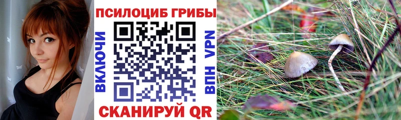 Псилоцибиновые грибы мицелий  где найти наркотики  Пустошка 