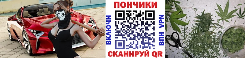 Бошки Шишки SATIVA & INDICA  hydra ТОР  Пустошка  цены наркотик 